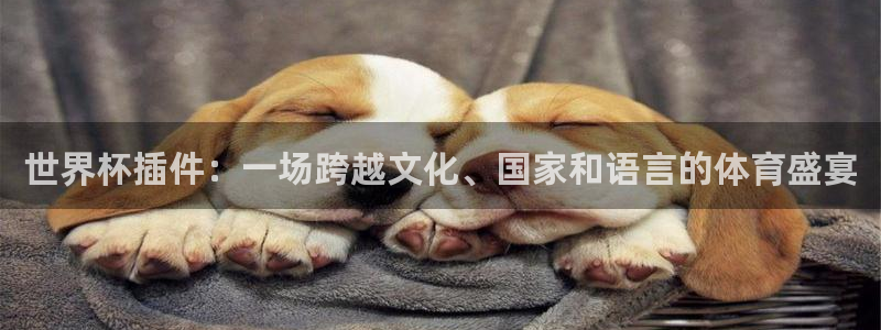 美洲杯直播：世界杯插件：一场跨越文化、国家和语言的体育盛宴