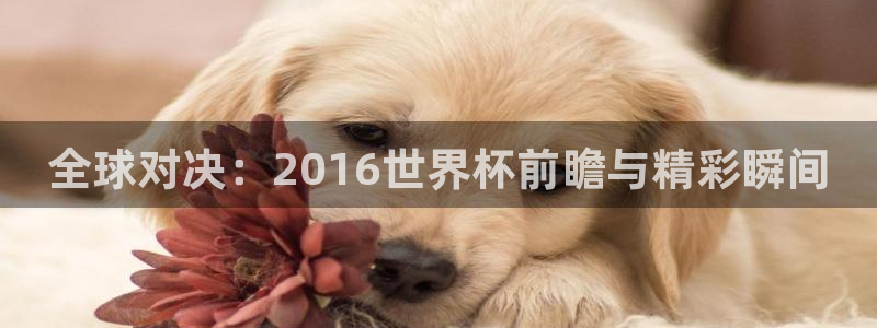 2026世界杯赛制:全球对决:2016世界杯前瞻与精彩瞬间