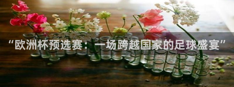 2026年世界杯赛程表时间:“欧洲杯预选赛:一场跨越国家的足球盛宴”