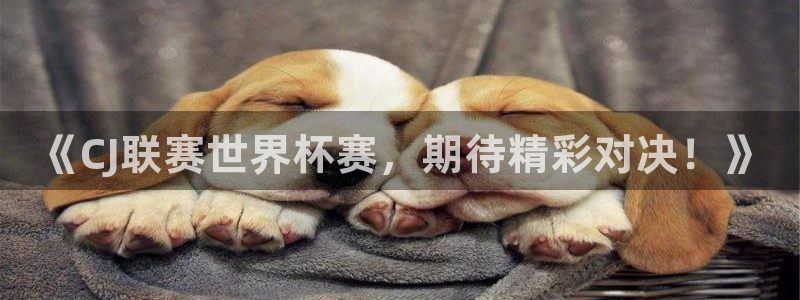足球世界杯2026：《CJ联赛世界杯赛，期待精彩对决！》