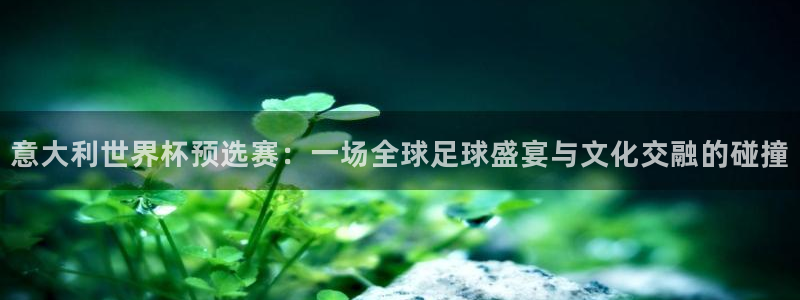2026世界杯足球赛程时间表：意大利世界杯预选赛：一场全球足球盛宴与文化交融的碰撞