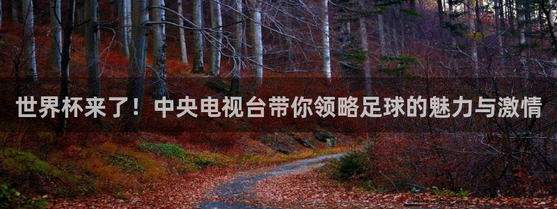 世界杯葡萄牙赛程：世界杯来了！中央电视台带你领略足球的魅力与激情