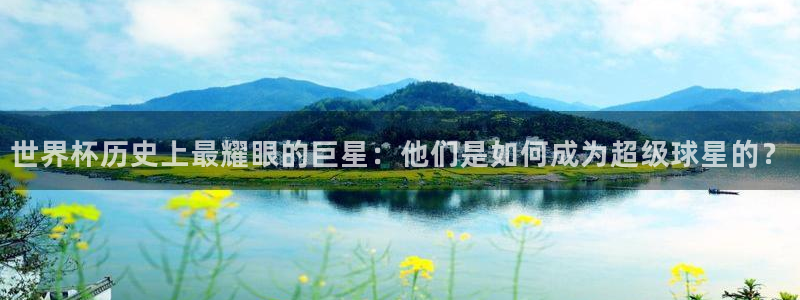 世界杯足球赛：世界杯历史上最耀眼的巨星：他们是如何成为超级球星的？