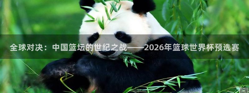 世界杯第一场比赛：全球对决：中国篮坛的世纪之战——2026年篮球世界杯预选赛