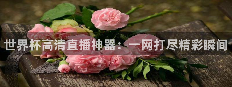 世界杯视频：世界杯高清直播神器：一网打尽精彩瞬间