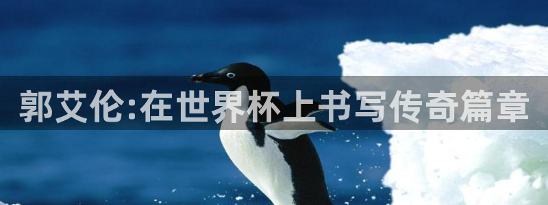 2026世预赛全部赛程：郭艾伦:在世界杯上书写传奇篇章