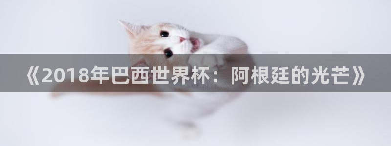 世界杯直播高清：《2018年巴西世界杯：阿根廷的光芒》
